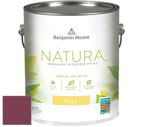 Benjamin Moore 512 Natura Interior Flat Finish матовая краска цвет NCS S 4050-R20B 