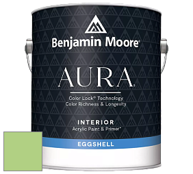 Benjamin Moore Aura 524 Waterborne Interior Eggshell Finish краска цвет 557 Leprechaun Green