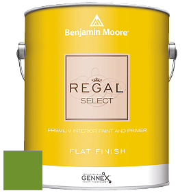 Benjamin Moore 547 Regal Select Waterborne Interior Flat Finish краска цвет 2029-10 Basil Green