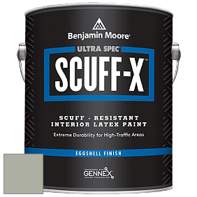 Benjamin Moore 485 Ultra Spec SCUFF-X Interior Eggshell Finish краска цвет NCS S 3005-G50Y 