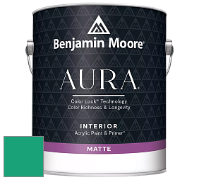 Benjamin Moore Aura 522 Interior Paint - Matte краска цвет 2044-30 St. Patrick