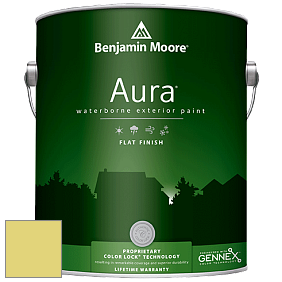Benjamin Moore Aura 629 Waterborne Exterior Flat Finish краска цвет 396 Chic Lime