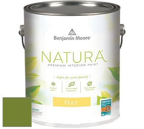Benjamin Moore 512 Natura Interior Flat Finish матовая краска цвет NCS S 3065-G40Y 