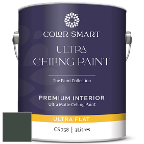 COLOR SMART CS 758 ULTRA CEILING PAINT ультраматовая краска цвет NCS S 8010-G10Y 