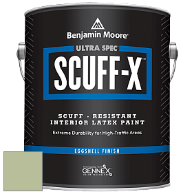 Benjamin Moore 485 Ultra Spec SCUFF-X Interior Eggshell Finish краска цвет NCS S 2020-G40Y 