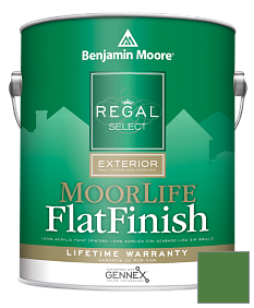 Краска Regal Select Exterior Paint-MoorLife Flat Finish (W105) цвет 2034-20 Vine Green