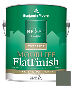Краска Regal Select Exterior Paint-MoorLife Flat Finish (W105) цвет 447 Holiday Wreath