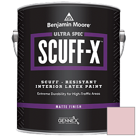 Краска Ultra Spec SCUFF-X Interior Matte Finish (484) цвет 1276 Petunia Pink