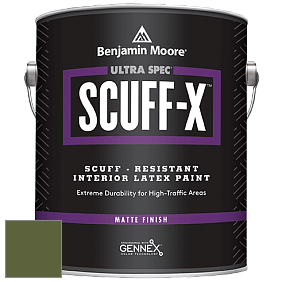 Benjamin Moore 484 Ultra Spec SCUFF-X Interior Matte Finish краска цвет NCS S 5540-G40Y 