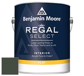 Benjamin Moore 547 Regal Select Waterborne Interior Flat Finish краска цвет NCS S 8010-G30Y 