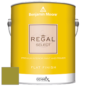 Benjamin Moore 547 Regal Select Waterborne Interior Flat Finish краска цвет NCS S 3060-G70Y 
