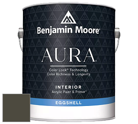 Benjamin Moore Aura 524 Waterborne Interior Eggshell Finish краска цвет NCS S 8010-G70Y 