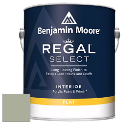 Benjamin Moore 547 Regal Select Waterborne Interior Flat Finish краска цвет NCS S 3010-G40Y 