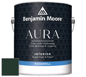 Benjamin Moore Aura 524 Waterborne Interior Eggshell Finish краска цвет RAL 6009 