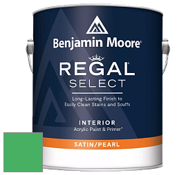 Benjamin Moore 550 Regal Select Waterborne Interior Pearl Finish краска цвет NCS S 1070-G10Y 