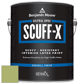 Benjamin Moore 485 Ultra Spec SCUFF-X Interior Eggshell Finish краска цвет NCS S 2040-G50Y 