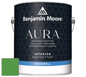 Benjamin Moore Aura 524 Waterborne Interior Eggshell Finish краска цвет NCS S 2070-G20Y 