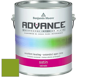 Benjamin Moore 792 Advance Interior Paint-Satin эмаль цвет 2028-10 Iguana Green