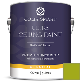Краска COLOR SMART CS 758 ULTRA CEILING PAINT ультраматовая краска цвет 2027-10 Dark Lime