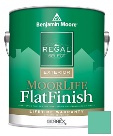 Краска Benjamin Moore W105 Regal Select Exterior Paint-MoorLife Flat Finish краска цвет 2043-40 Egyptian Green