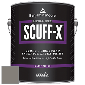 Benjamin Moore 484 Ultra Spec SCUFF-X Interior Matte Finish краска цвет NCS S 5502-Y20R 