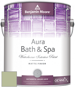 Benjamin Moore Aura 532 Bath & Spa Waterborne Interior Paint Matte Finish краска цвет NCS S 2020-G40Y 