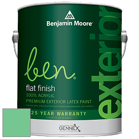 Benjamin Moore Ben 541 Waterborne Exterior Flat Finish краска цвет 2037-40 Adam Green