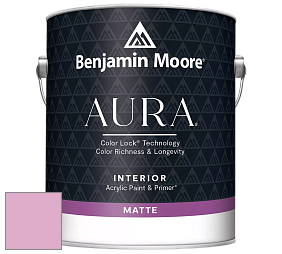 Benjamin Moore Aura 522 Interior Paint - Matte краска цвет 2078-50 Pink Begonia