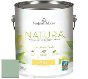 Benjamin Moore 512 Natura Interior Flat Finish матовая краска цвет 627 Spring Break