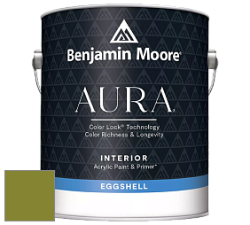 Benjamin Moore Aura 524 Waterborne Interior Eggshell Finish краска цвет NCS S 3065-G50Y 