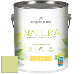 Benjamin Moore 512 Natura Interior Flat Finish матовая краска цвет 411 Celtic Folklore