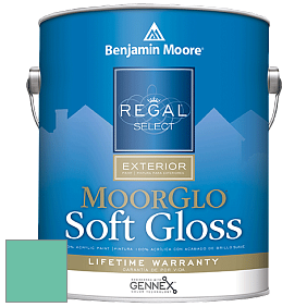 Benjamin Moore W096 Regal Select Exterior Paint-Moor GloSoft Gloss Finish краска цвет 606 Island Paradise