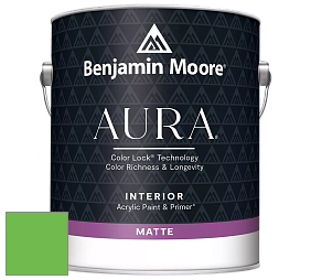 Benjamin Moore Aura 522 Interior Paint - Matte краска цвет NCS S 0575-G20Y 