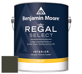 Benjamin Moore 547 Regal Select Waterborne Interior Flat Finish краска цвет RAL 6014 