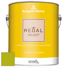 Benjamin Moore 547 Regal Select Waterborne Interior Flat Finish краска цвет 2027-20 Spring Moss
