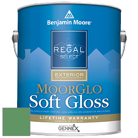 Benjamin Moore W096 Regal Select Exterior Paint-Moor GloSoft Gloss Finish краска цвет 2036-30 Green with Envy