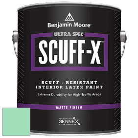 Benjamin Moore 484 Ultra Spec SCUFF-X Interior Matte Finish краска цвет 2037-50 Greenwood Lake