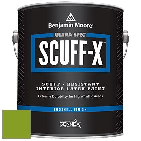 Benjamin Moore 485 Ultra Spec SCUFF-X Interior Eggshell Finish краска цвет 2028-10 Iguana Green