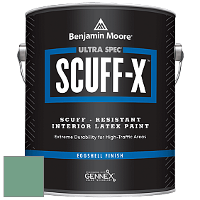 Benjamin Moore 485 Ultra Spec SCUFF-X Interior Eggshell Finish краска цвет NCS S 3030-G 