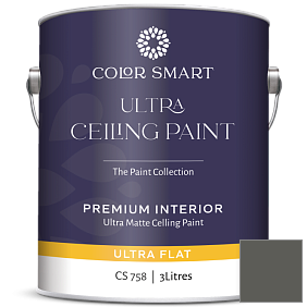Краска COLOR SMART CS 758 ULTRA CEILING PAINT ультраматовая краска цвет 1484 Ashwood Moss