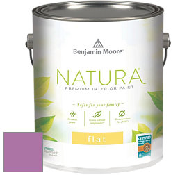 Benjamin Moore 512 Natura Interior Flat Finish матовая краска цвет NCS S 2050-R40B 