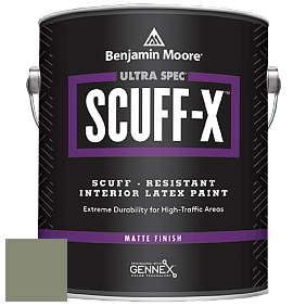 Benjamin Moore 484 Ultra Spec SCUFF-X Interior Matte Finish краска цвет AF-460 