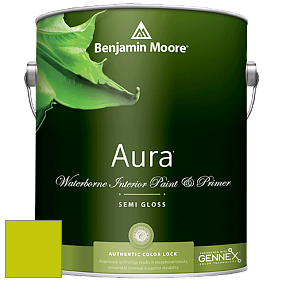 Benjamin Moore Aura 528 Waterborne Interior Semi-gloss Finish краска цвет 2026-30 Snow Cone Green