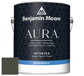 Benjamin Moore Aura 524 Waterborne Interior Eggshell Finish краска цвет NCS S 8010-G50Y 