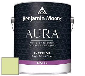 Benjamin Moore Aura 522 Interior Paint - Matte краска цвет NCS S 0530-G50Y 