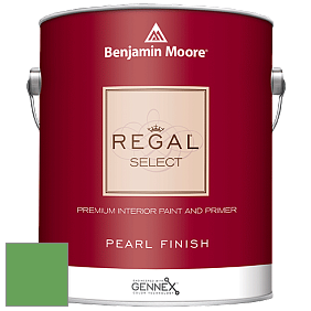 Benjamin Moore 550 Regal Select Waterborne Interior Pearl Finish краска цвет NCS S 2060-G20Y 