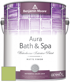 Benjamin Moore Aura 532 Bath & Spa Waterborne Interior Paint Matte Finish краска цвет 2029-40 Stem Green