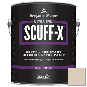 Краска Ultra Spec SCUFF-X Interior Matte Finish (484) цвет 965 Temporal Spirit