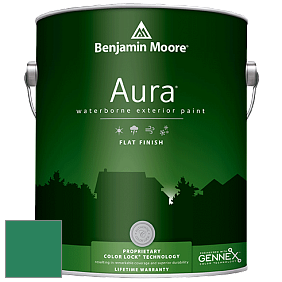 Benjamin Moore Aura 629 Waterborne Exterior Flat Finish краска цвет 2042-20 Reef Green