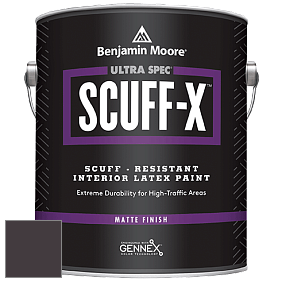 Benjamin Moore 484 Ultra Spec SCUFF-X Interior Matte Finish краска цвет NCS S 8505-R20B 
